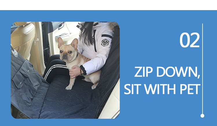 zip down to sit with dog